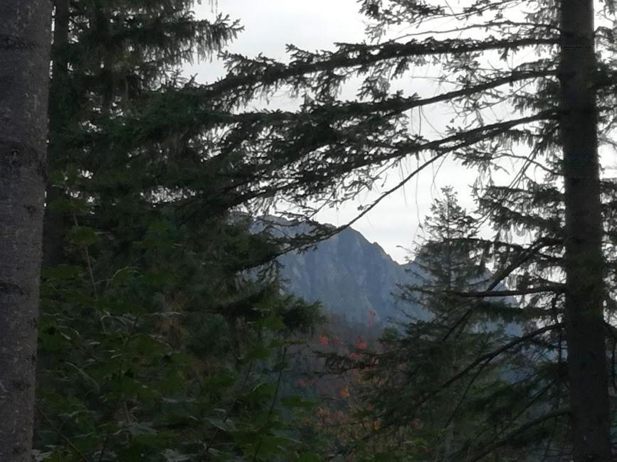 Apartmán Dom Pod Skocznia Zakopane Exteriér fotografie