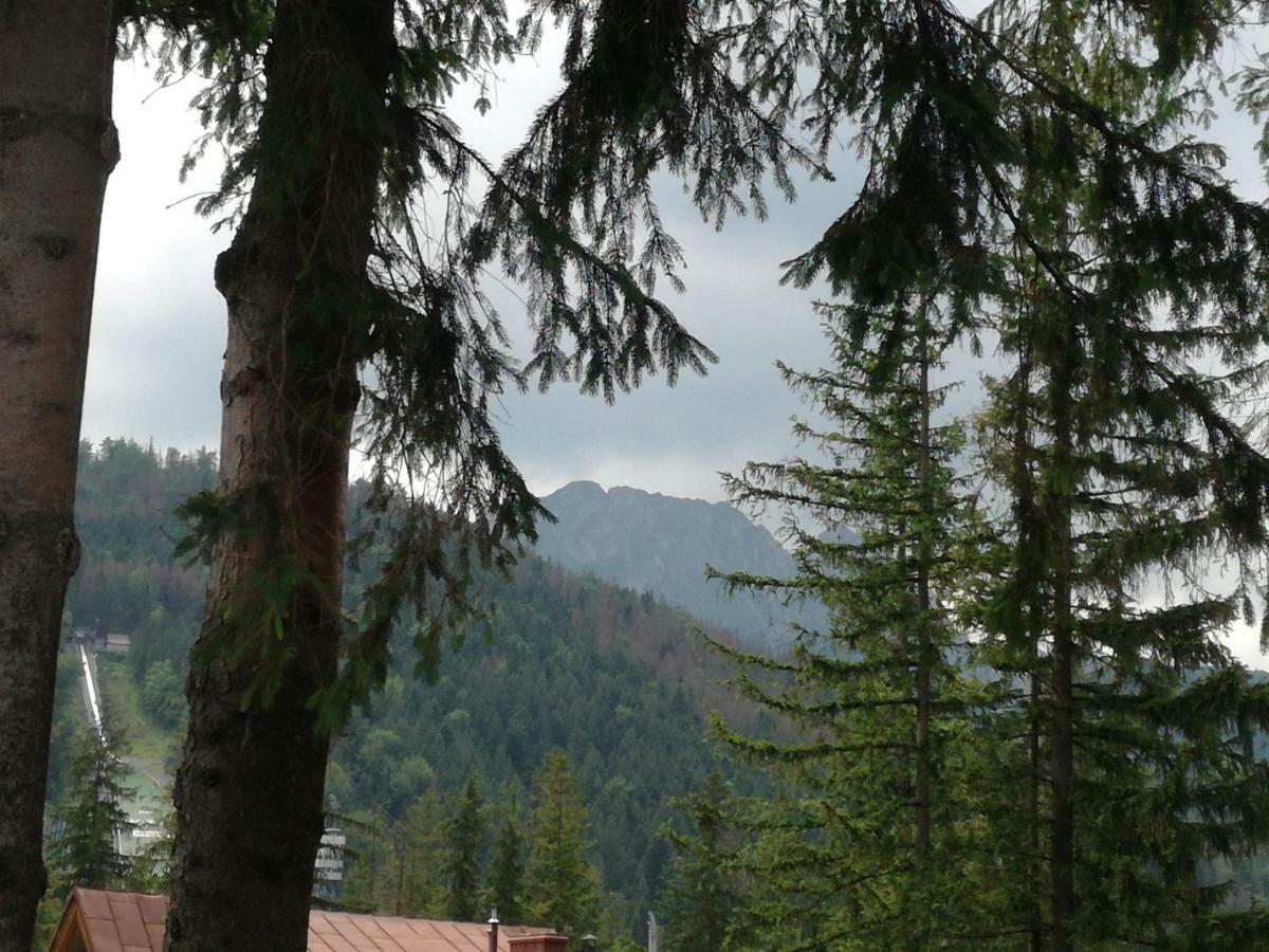 Apartmán Dom Pod Skocznia Zakopane Exteriér fotografie