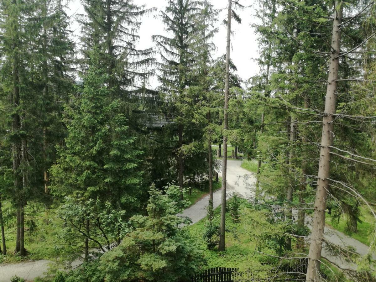 Apartmán Dom Pod Skocznia Zakopane Exteriér fotografie
